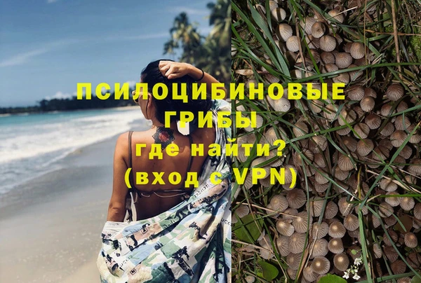 хмурый Балахна